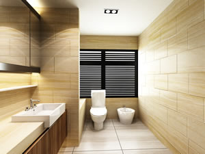 Lanarkshire Washroom Installation